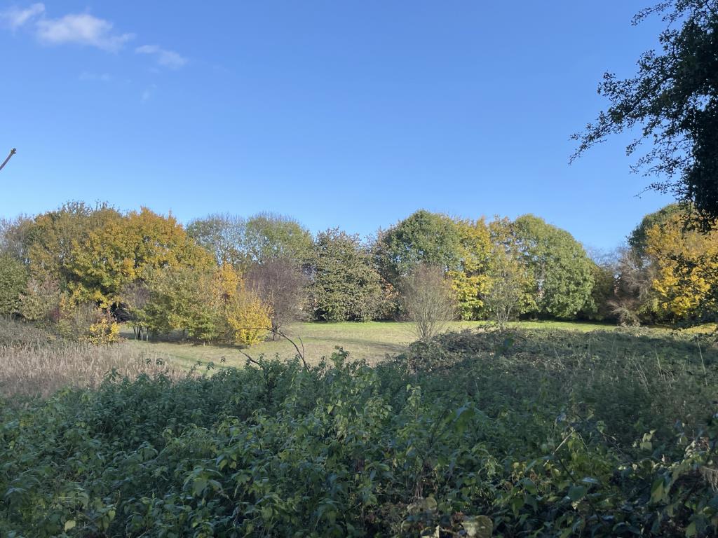Lot: 14 - OVER 18 ACRES OF LAND RUNNING ALONG THE RIVER MEDWAY TOWPATH - View across land